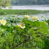 Review photo of Shale Bluff Campground — Hardy Lake State Recreation Area by Stacey S., August 13, 2020