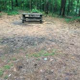 Review photo of Buck Pond Adirondack Preserve by Trina W., April 25, 2018