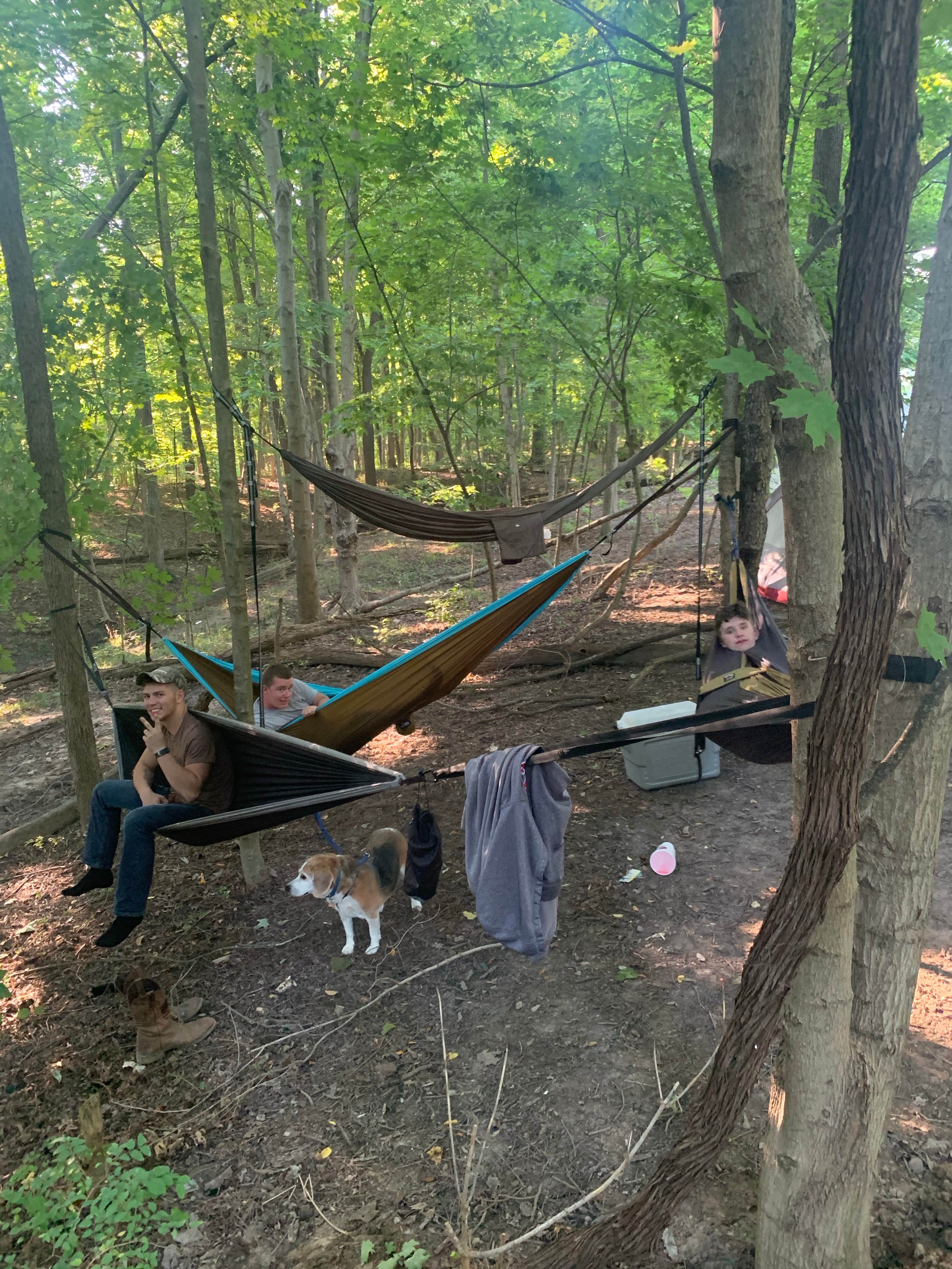 Stacey S.'s photo of camping with pets at Cecil M Harden Lake Raccoon State Recreation Area near Plainfield, IN