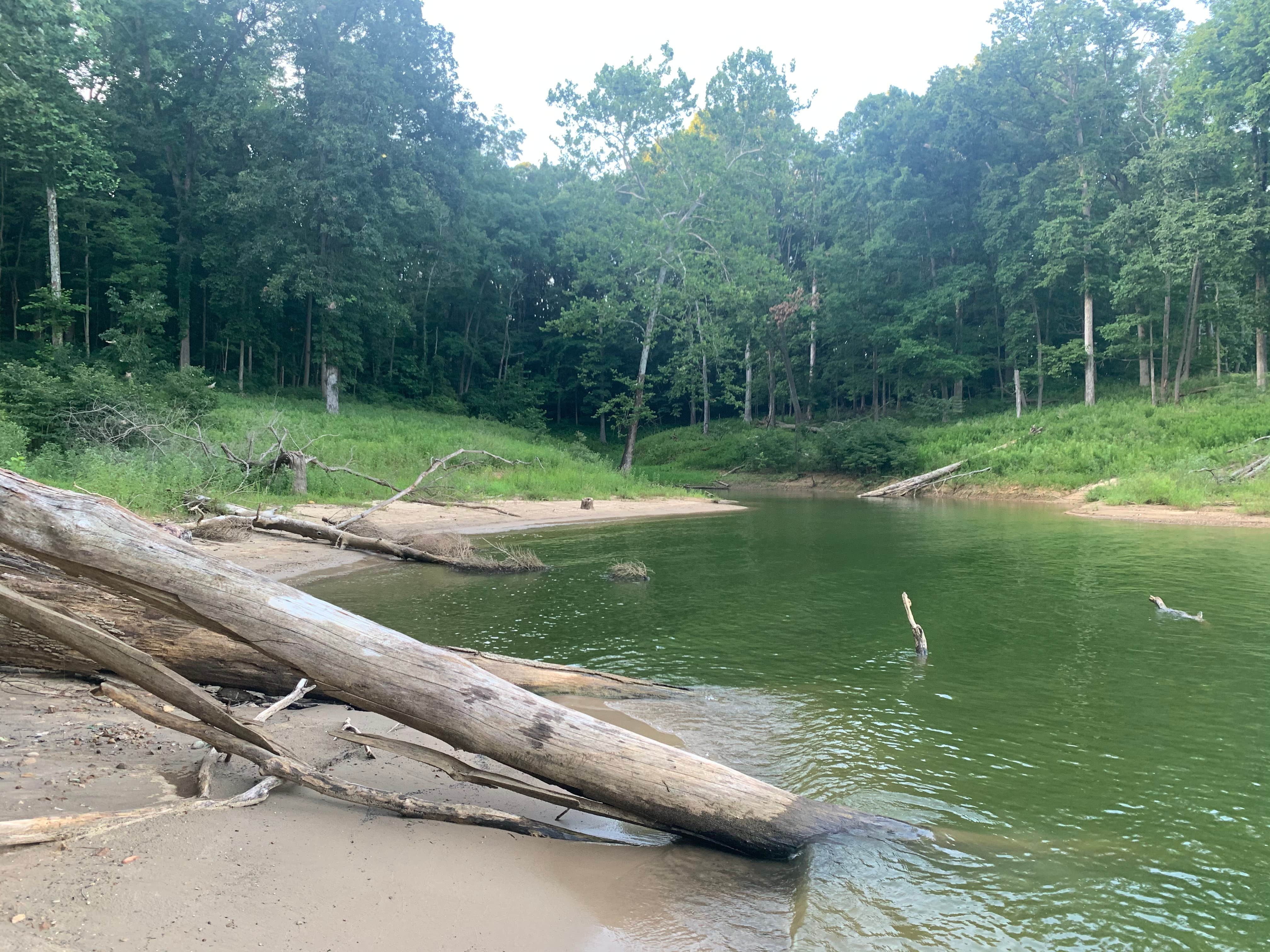 Camper-submitted photo at Cecil M Harden Lake Raccoon State Recreation Area near Plainfield, IN