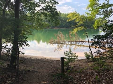 Camper submitted image from Canoe Landing Group Campsite — James River State Park - 4