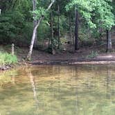 Review photo of Canoe Landing Group Campsite — James River State Park by J P., August 13, 2020