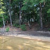 Review photo of Canoe Landing Group Campsite — James River State Park by J P., August 13, 2020