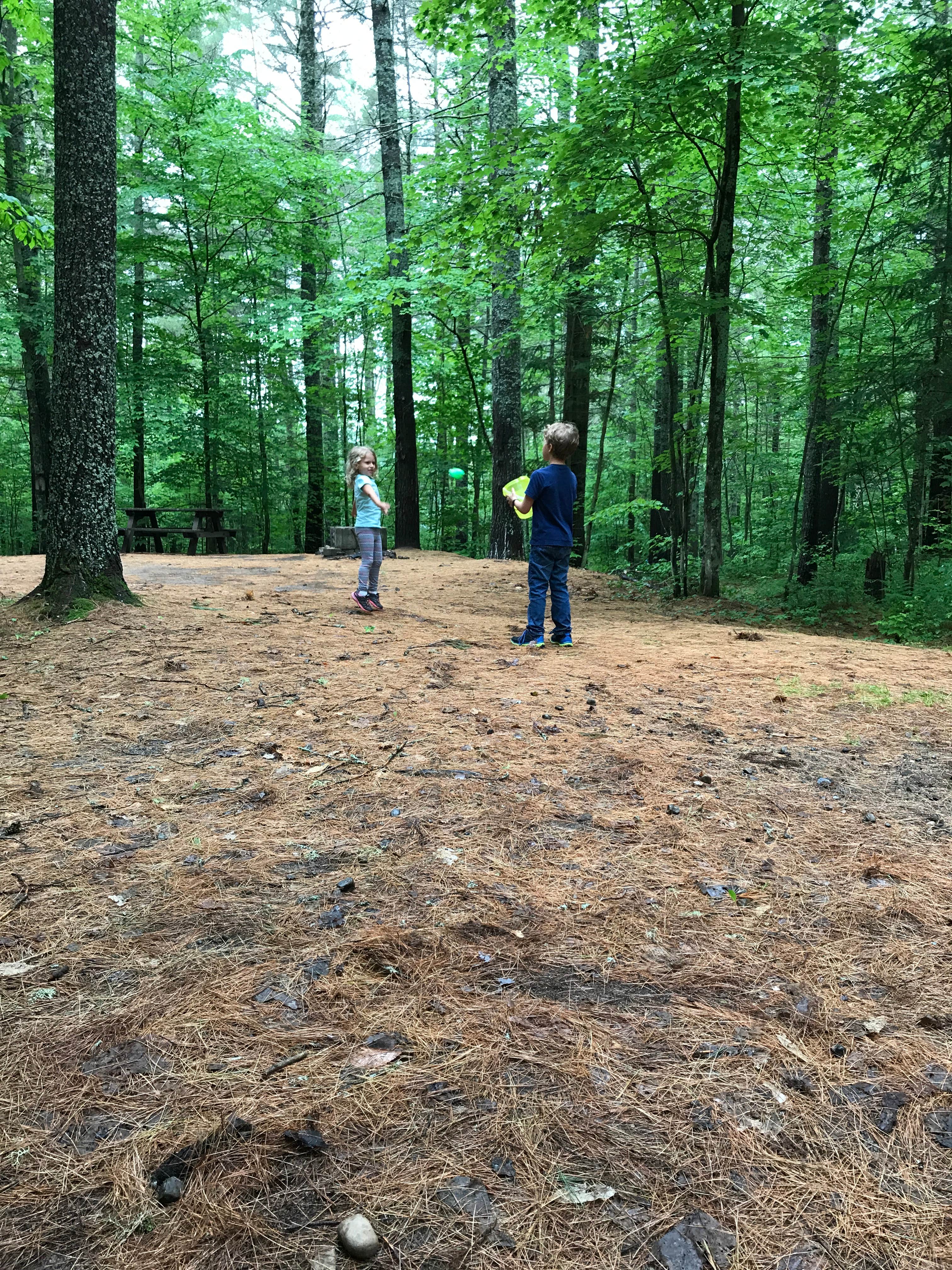 Camper submitted image from Buck Pond Adirondack Preserve - 4