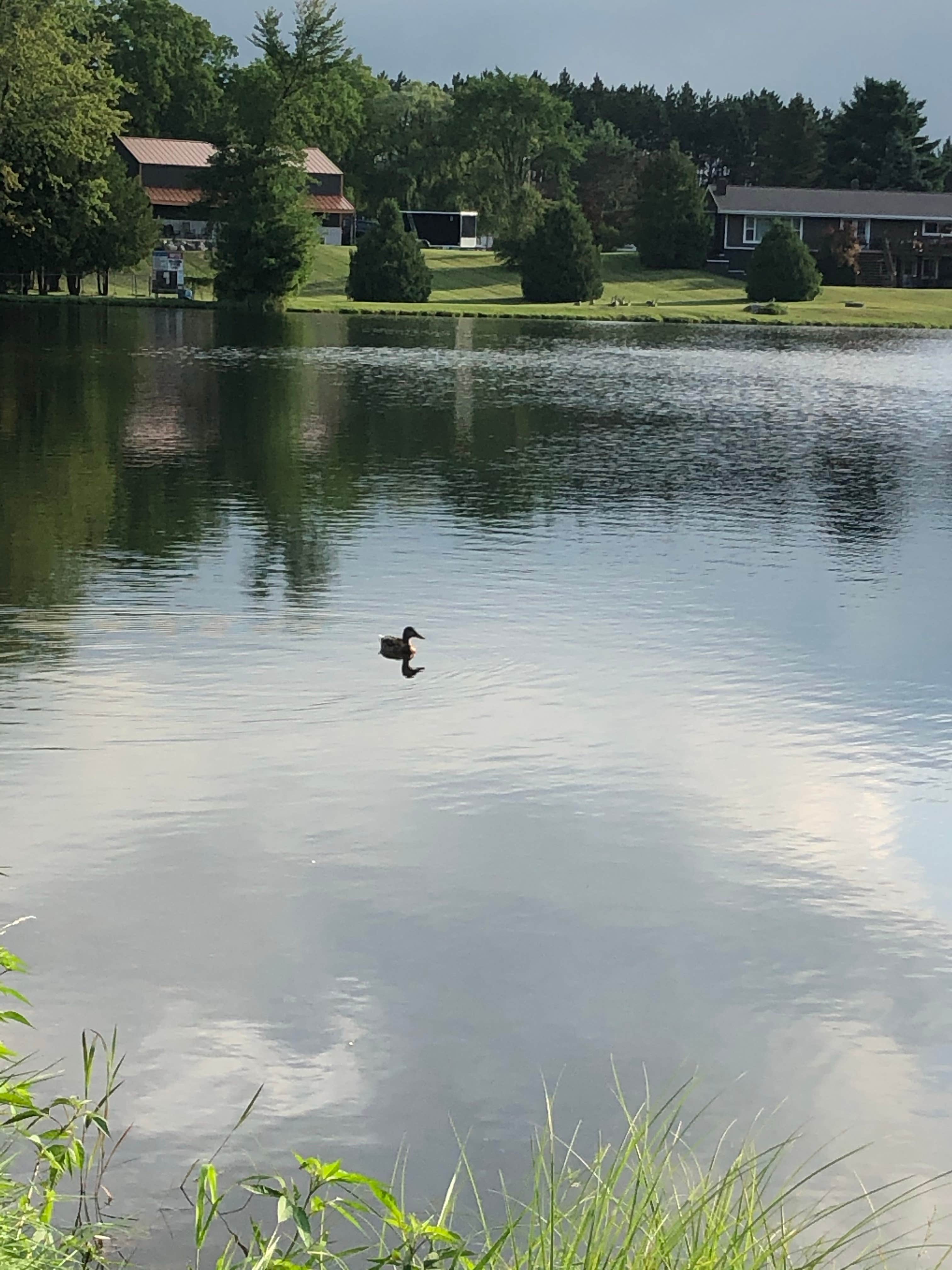 Camper-submitted photo at Lake Billings RV Park & Campground near South Boardman, MI