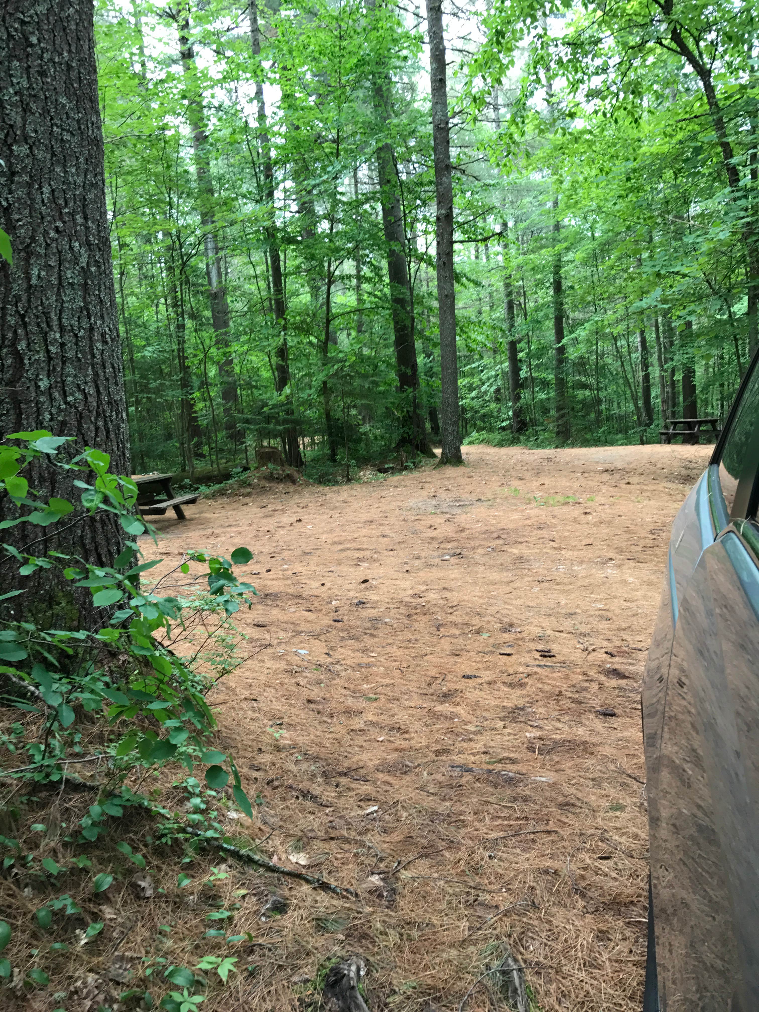 Camper submitted image from Buck Pond Adirondack Preserve - 1