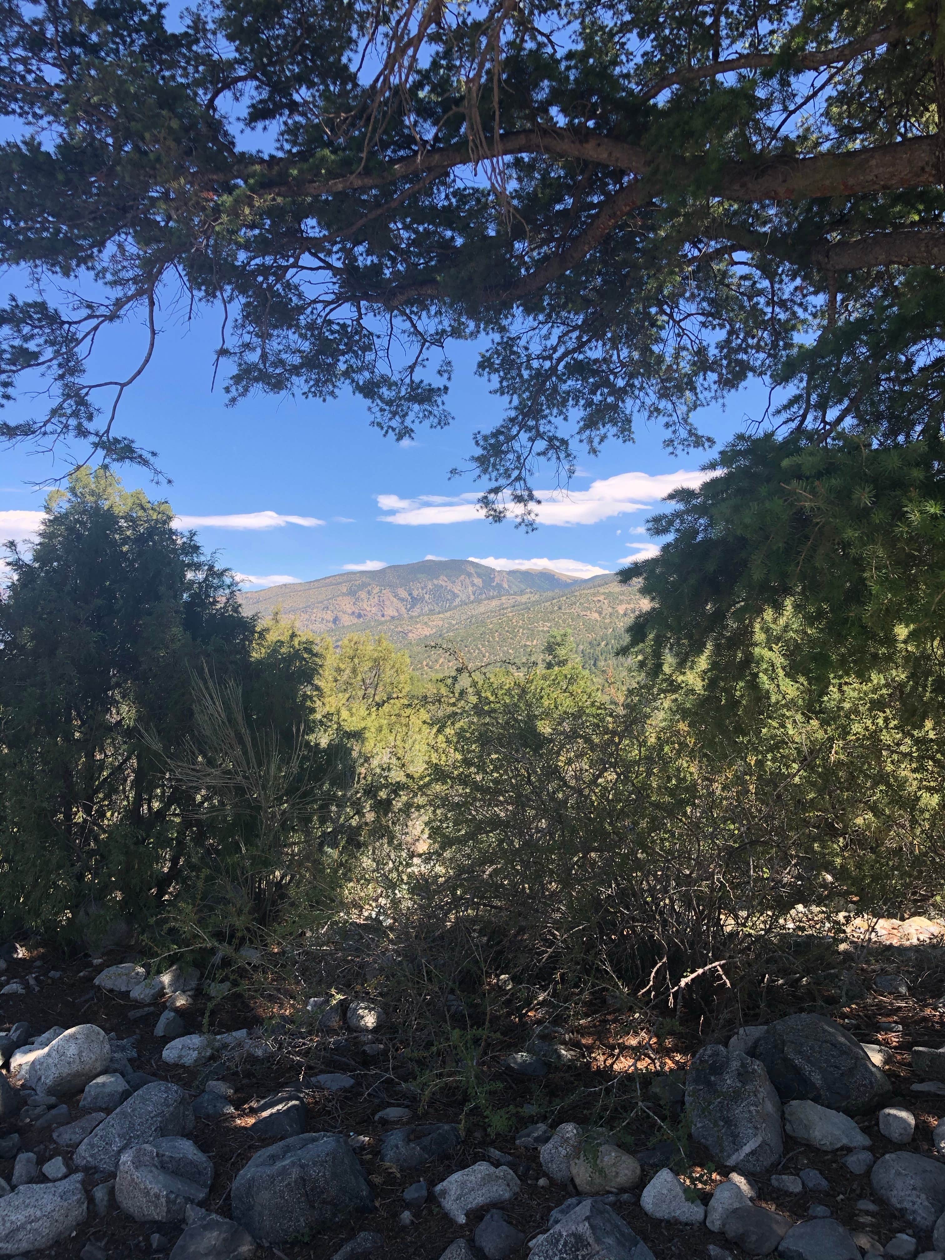 Camper-submitted photo at Home Mountain Reservoir SWA - Dispersed Campsites near La Veta, CO