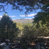 Review photo of Home Mountain Reservoir SWA - Dispersed Campsites by Jacob K., August 13, 2020