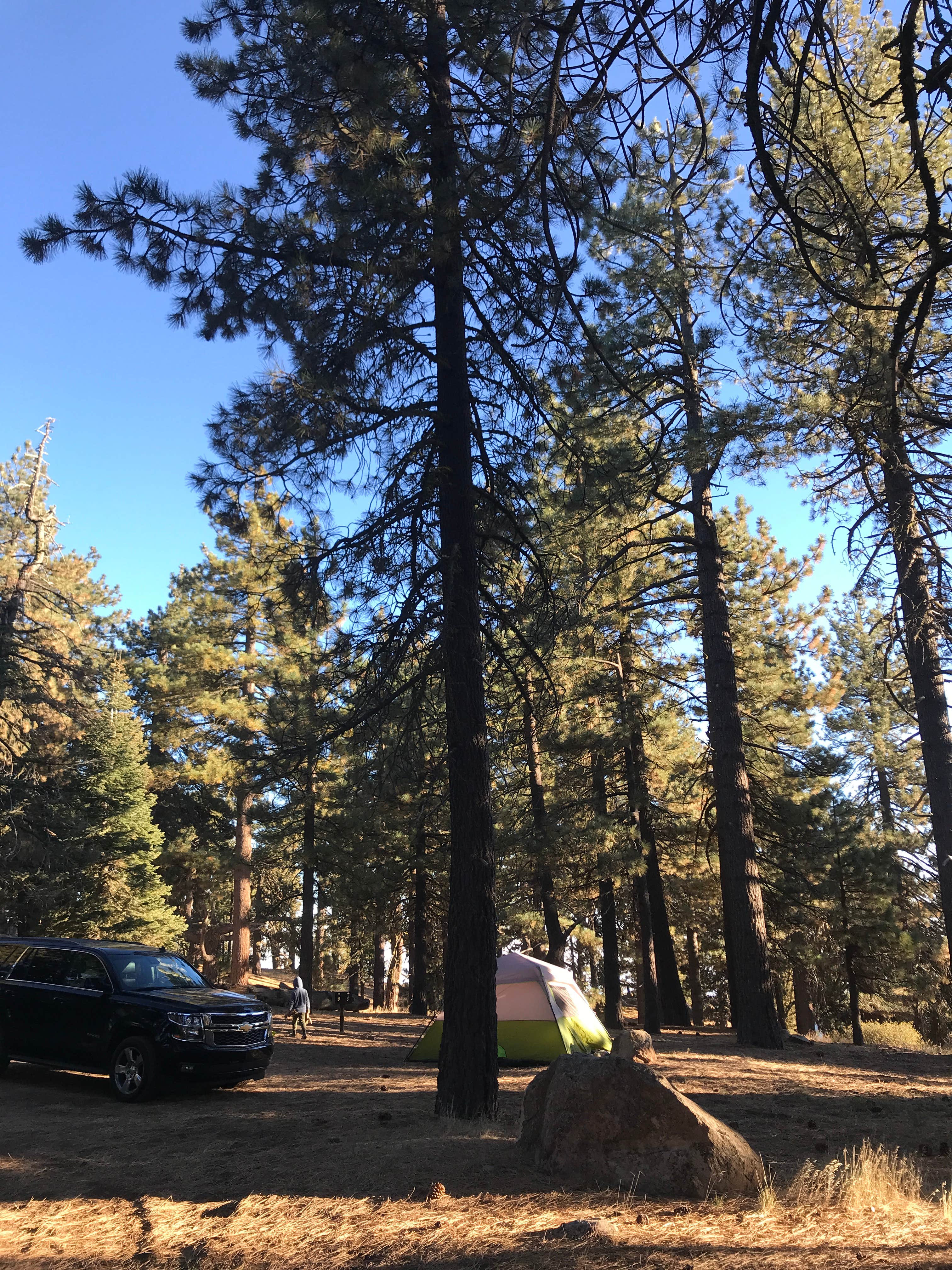 Billy P.'s photo of tent camping at Upper Reyes Campground near Moorpark, CA