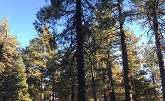 Billy P.'s photo of tent camping at Upper Reyes Campground near Taft, CA