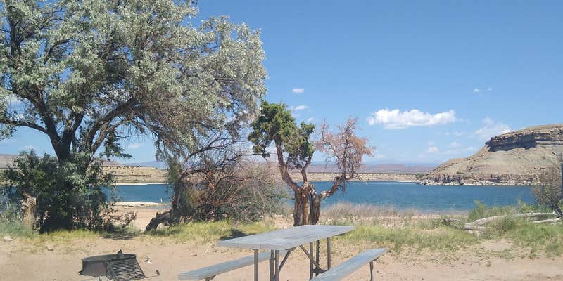 Camper submitted image from Indian Bay Campground — Fred Hayes State Park at Starvation