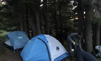 Molly Y.'s photo of a dispersed camping area at McNeil Point Dispersed Camping near White Salmon, WA
