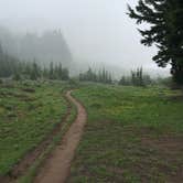 Review photo of McNeil Point Dispersed Camping by Molly Y., August 13, 2020