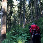 Review photo of McNeil Point Dispersed Camping by Molly Y., August 13, 2020