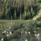 Review photo of McNeil Point Dispersed Camping by Molly Y., August 13, 2020