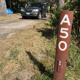 Review photo of Cape Lookout State Park Campground by Molly Y., August 13, 2020