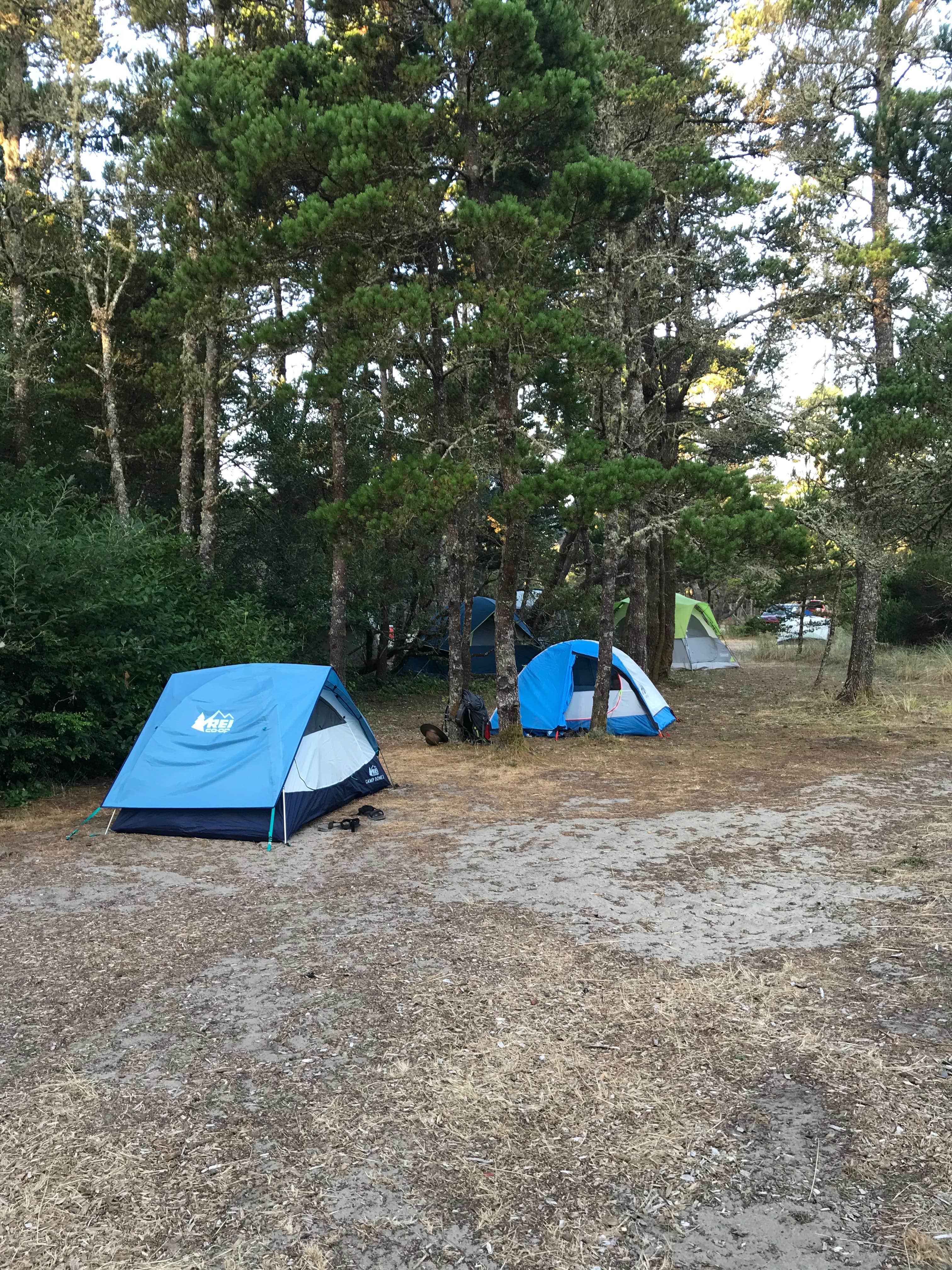 Molly Y.'s photo at South Beach State Park Campground near Toledo, OR