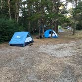 Review photo of South Beach State Park Campground by Molly Y., August 13, 2020