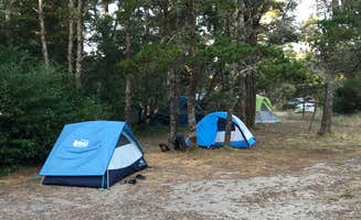 Molly Y.'s photo at South Beach State Park Campground near Toledo, OR