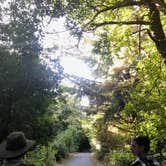 Review photo of South Beach State Park Campground by Molly Y., August 13, 2020