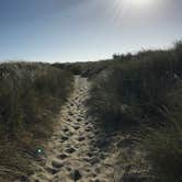 Review photo of South Beach State Park Campground by Molly Y., August 13, 2020