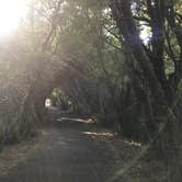 Review photo of South Beach State Park Campground by Molly Y., August 13, 2020