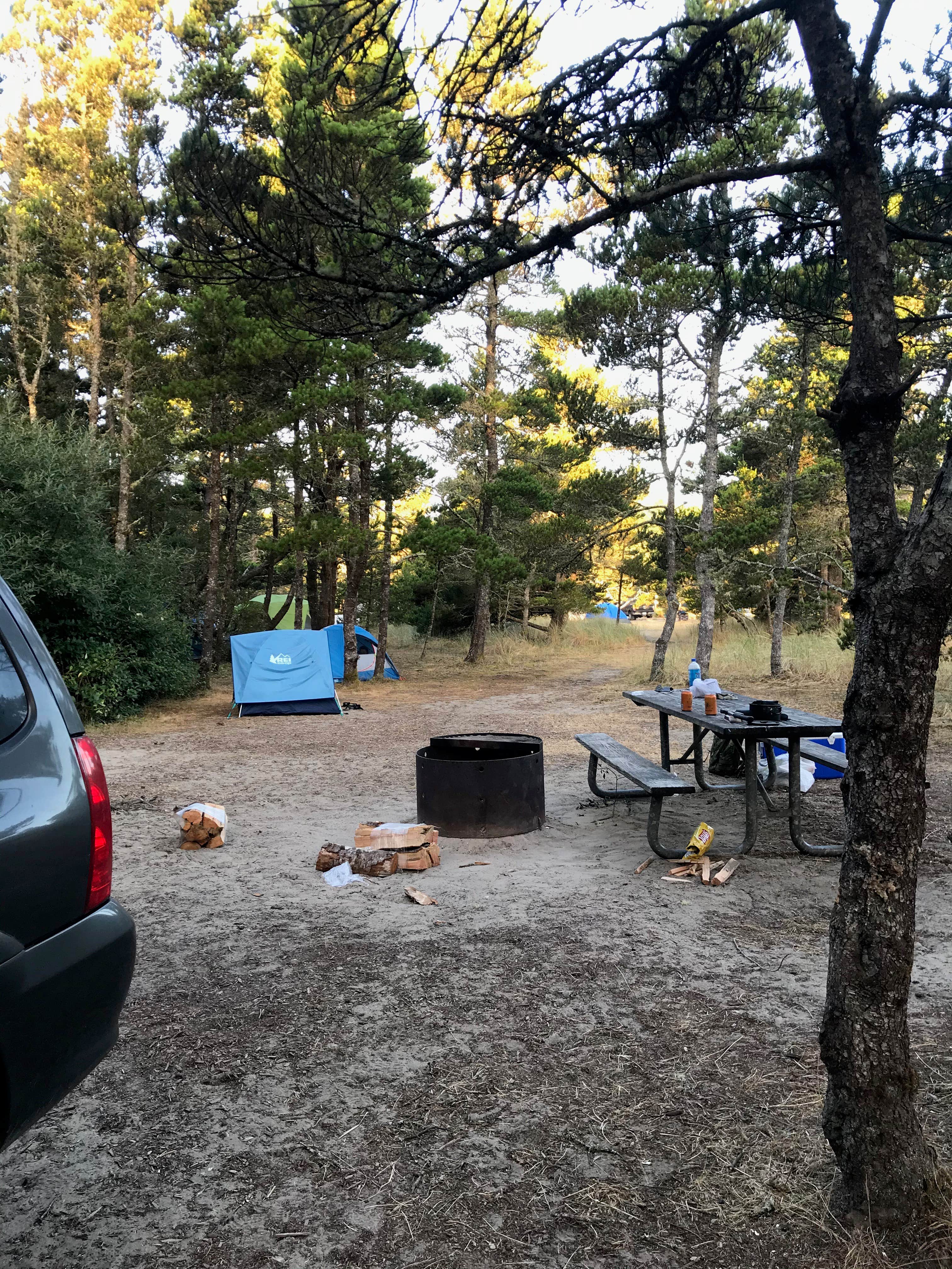 Molly Y.'s photo at South Beach State Park Campground near Otter Rock, OR
