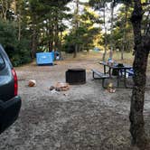 Review photo of South Beach State Park Campground by Molly Y., August 13, 2020
