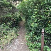 Review photo of South Beach State Park Campground by Molly Y., August 13, 2020