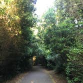 Review photo of South Beach State Park Campground by Molly Y., August 13, 2020