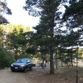 Review photo of South Beach State Park Campground by Molly Y., August 13, 2020