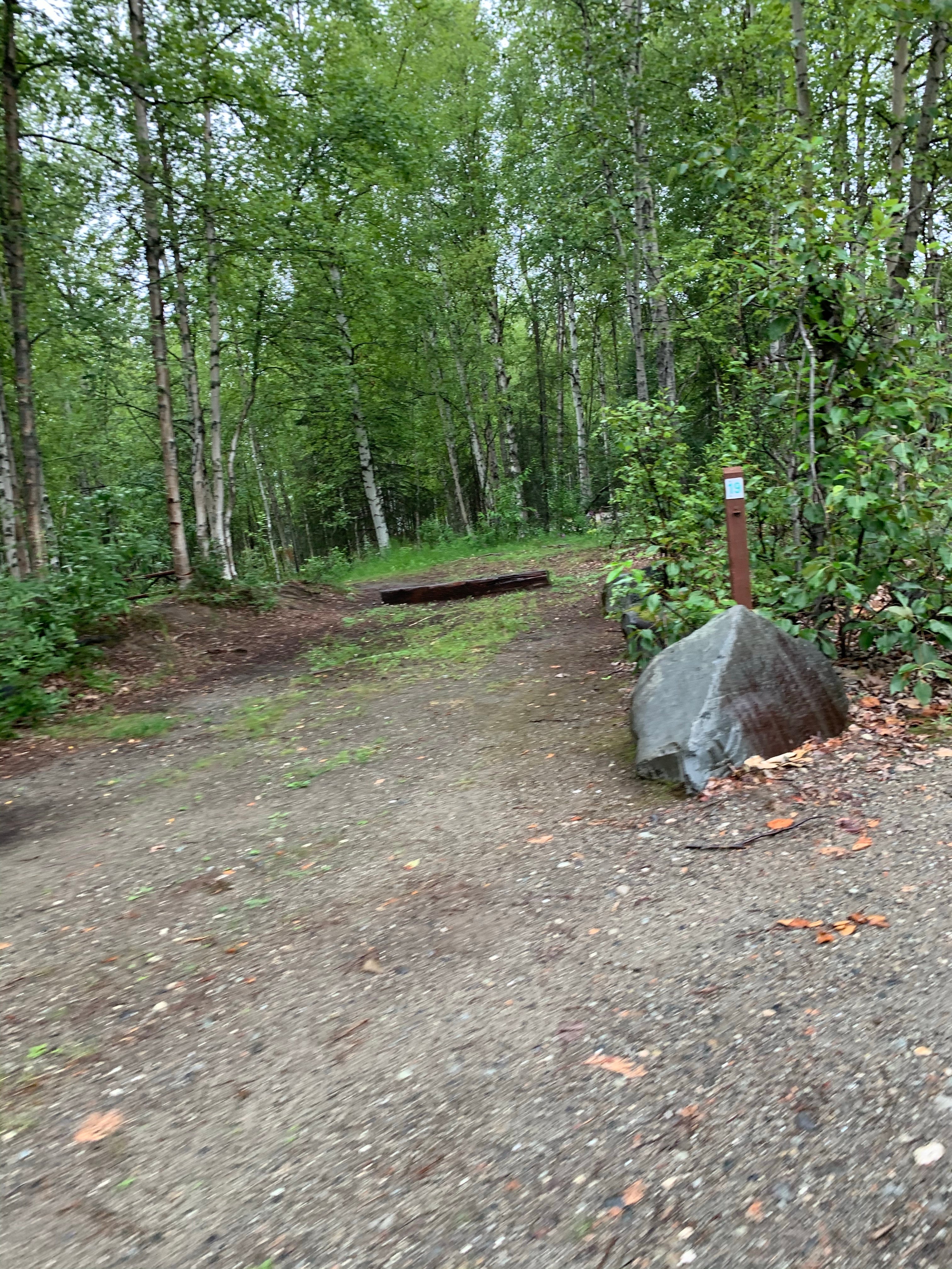 Camper submitted image from Nancy Lake State Recreation Site - 5