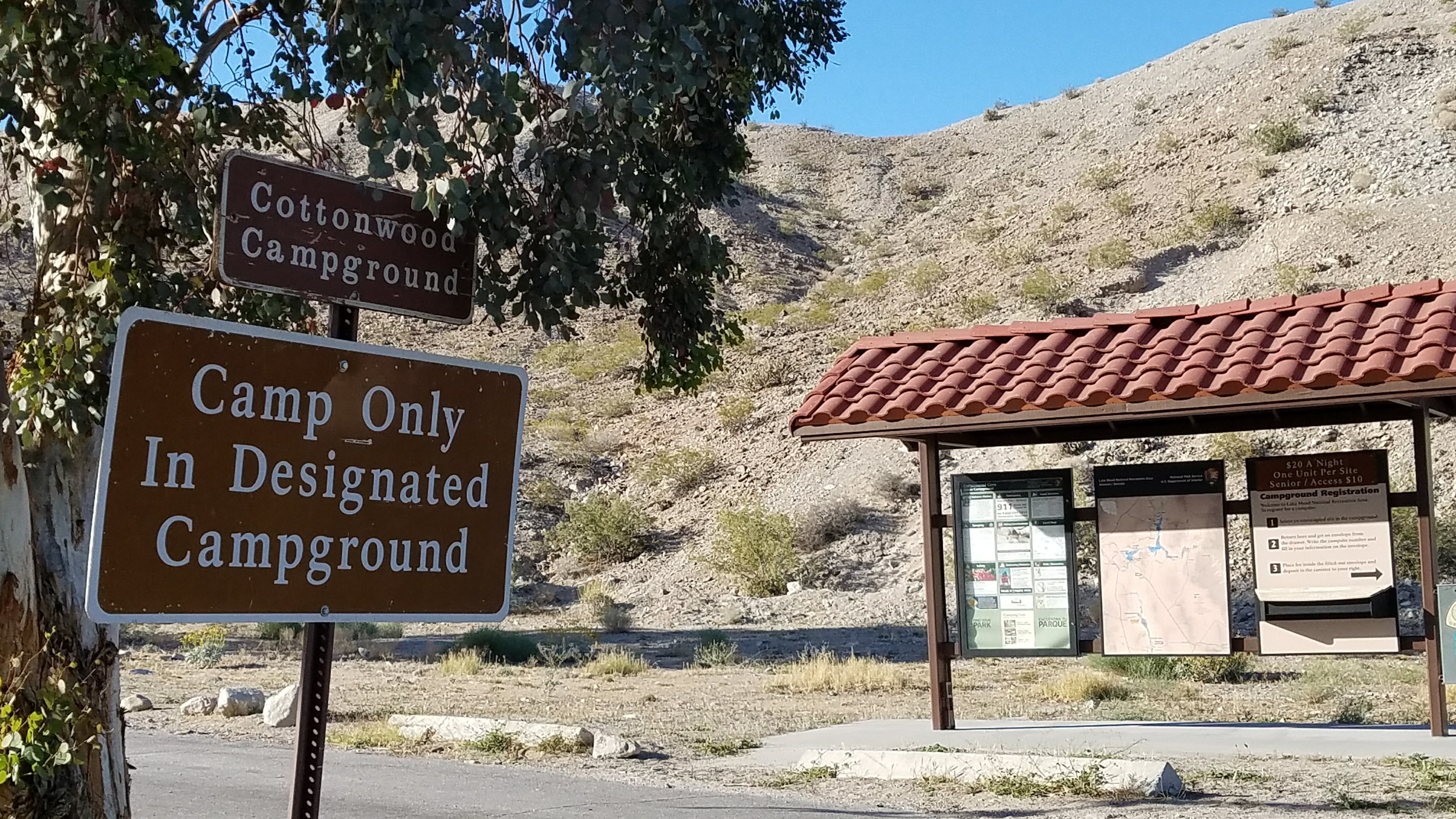 Camper submitted image from Cottonwood Cove Campground — Lake Mead National Recreation Area - 4