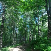 Review photo of Jay Cooke State Park Campground by Molly Y., August 13, 2020