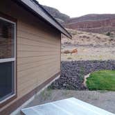 Review photo of Bay Loop Campground — Steamboat Rock State Park by Graham C., July 4, 2016