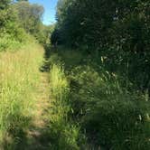 Review photo of Jay Cooke State Park Campground by Molly Y., August 13, 2020