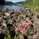 Review photo of Jay Cooke State Park Campground by Molly Y., August 13, 2020