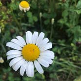 Review photo of Jay Cooke State Park Campground by Molly Y., August 13, 2020