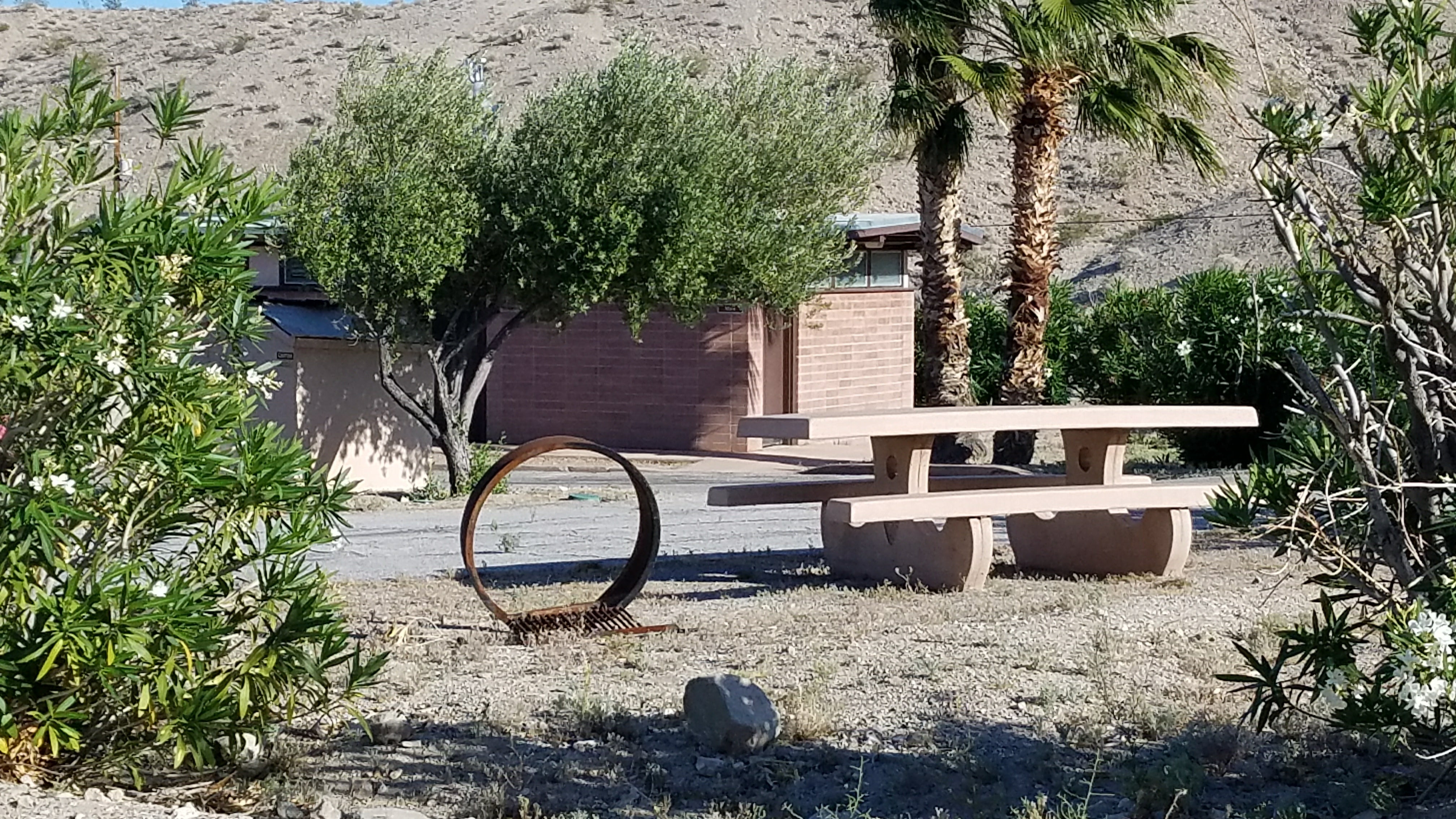 Camper submitted image from Upper Cottonwood Cove Campground - CLOSED — Lake Mead National Recreation Area - 4