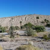 Review photo of Upper Cottonwood Cove Campground - CLOSED — Lake Mead National Recreation Area by Colette K., April 25, 2018