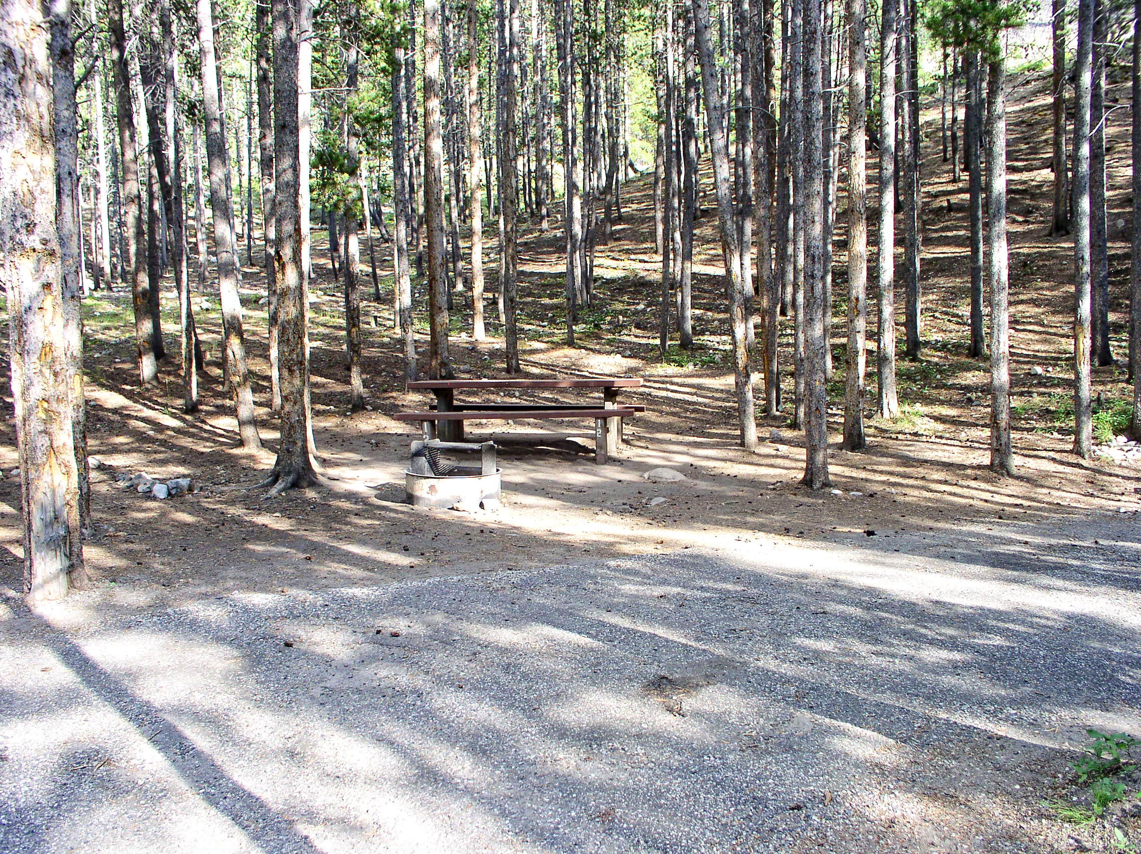 Camper-submitted photo at Greenough Lake near Red Lodge, MT