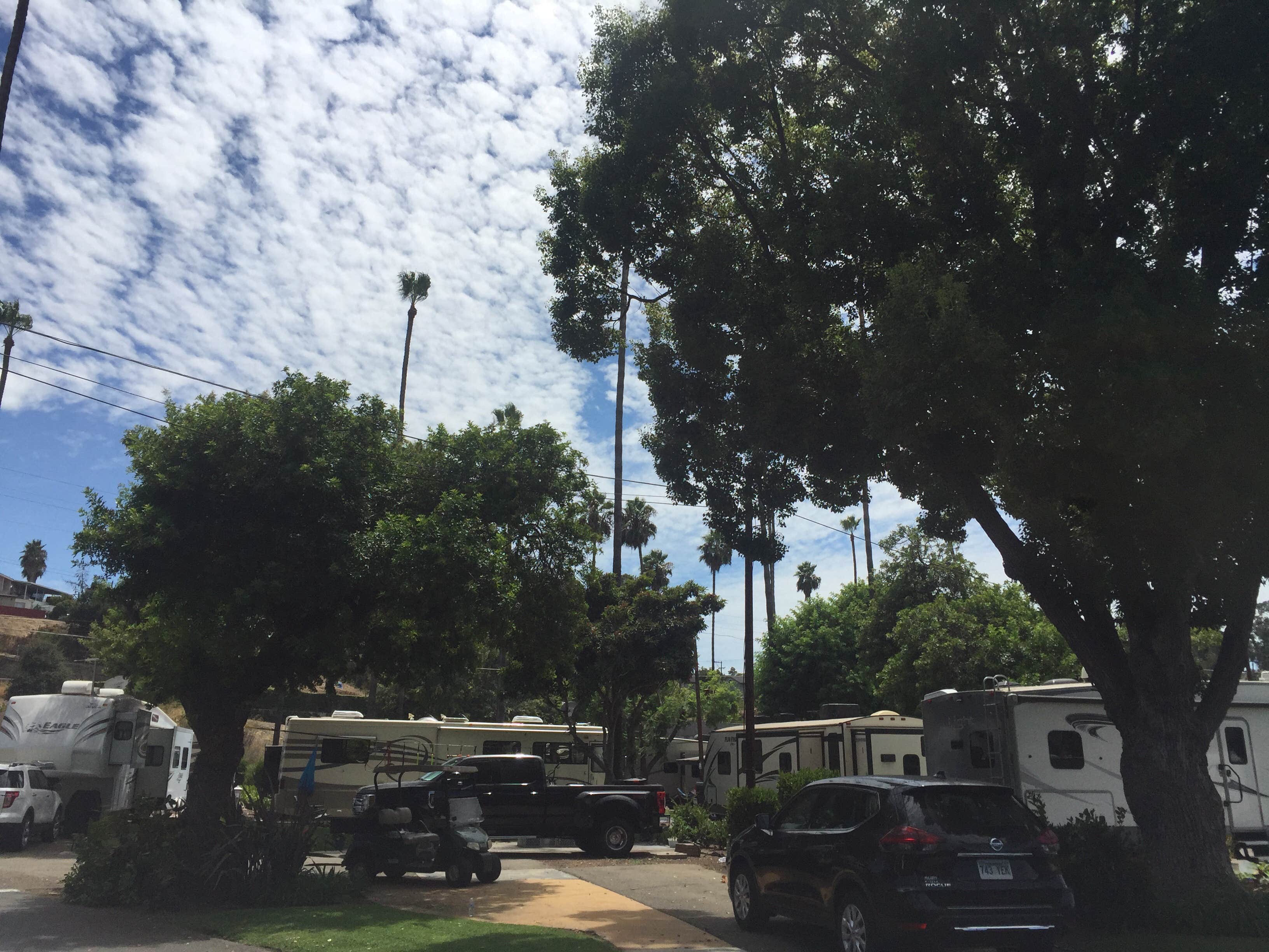 Camper-submitted photo at San Diego RV Resort near Bonita, CA