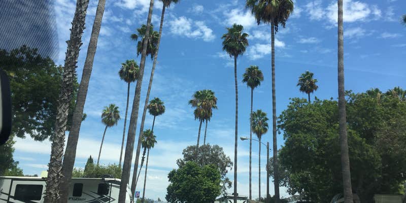 Camper submitted image from San Diego RV Resort