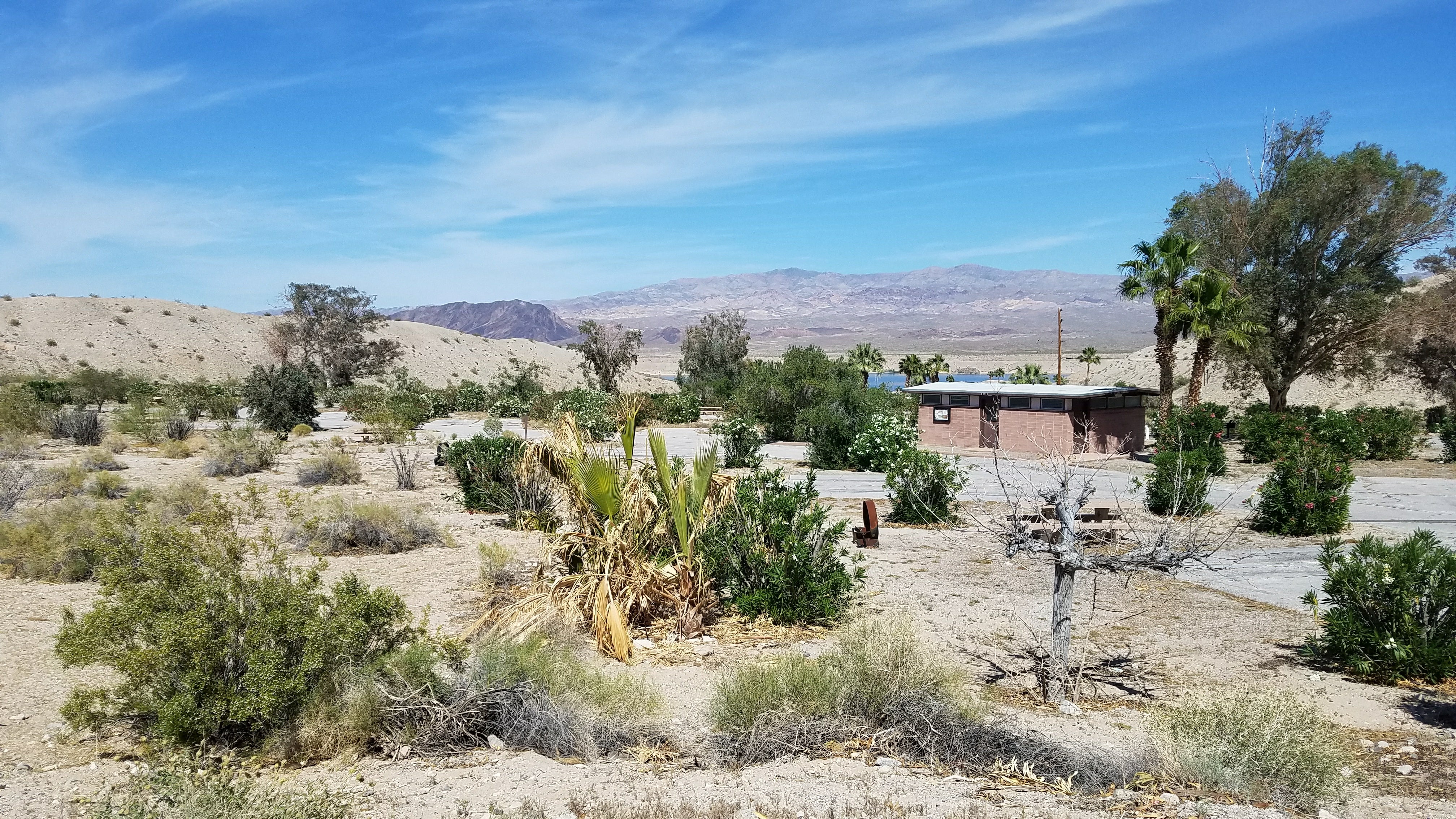Camper submitted image from Upper Cottonwood Cove Campground - CLOSED — Lake Mead National Recreation Area - 1