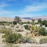 Review photo of Upper Cottonwood Cove Campground - CLOSED — Lake Mead National Recreation Area by Colette K., April 25, 2018