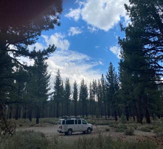 Camper-submitted photo from Inyo National Forest Dispersed Camping