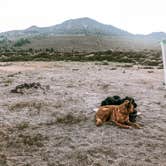 Review photo of June Lake Campground by Alex P., August 13, 2020