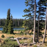 Review photo of Brooklyn Lake Campground by Melanie G., August 13, 2020