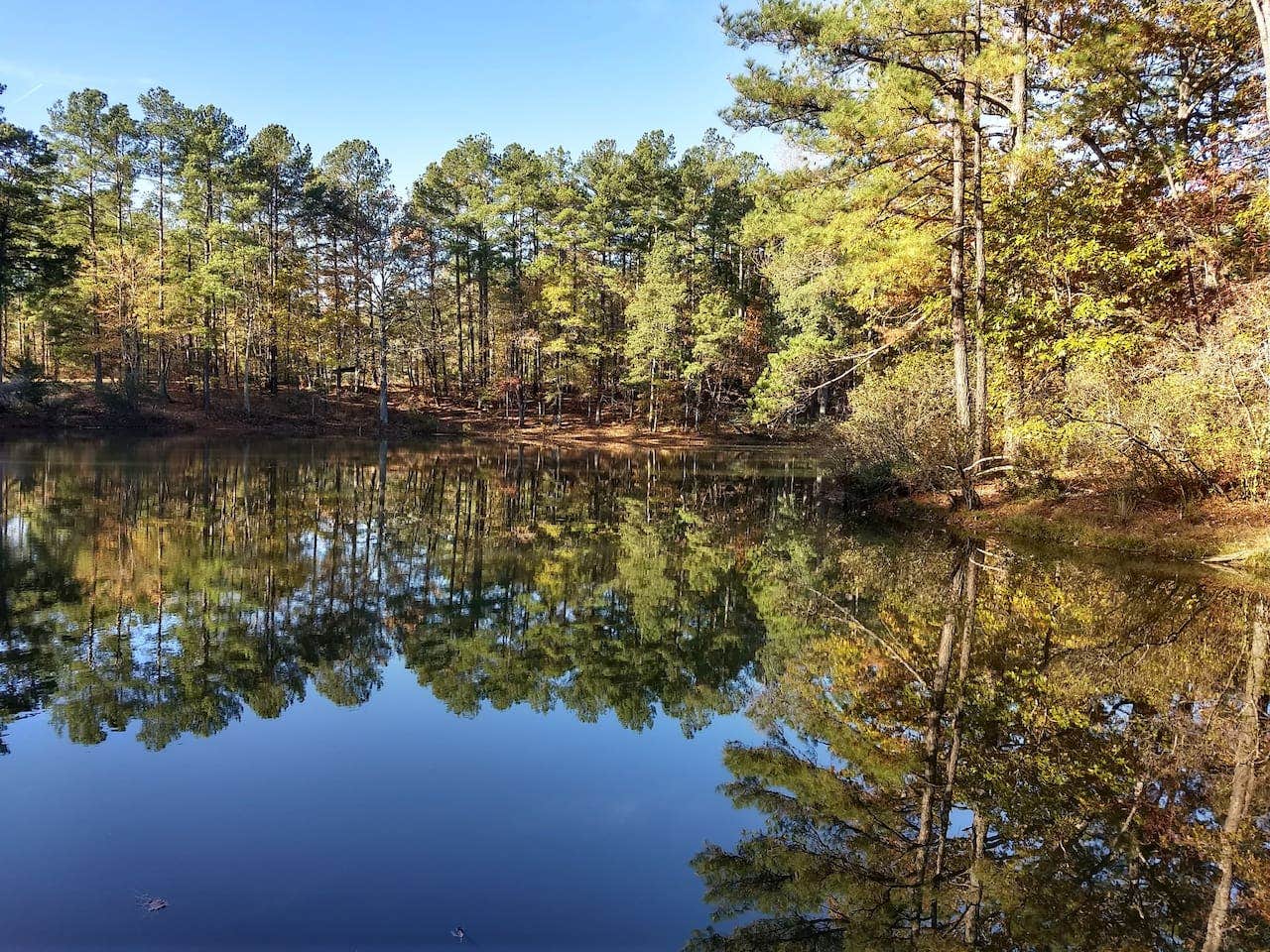 Camper submitted image from RTP Lakefront Campsite - Campground - 2