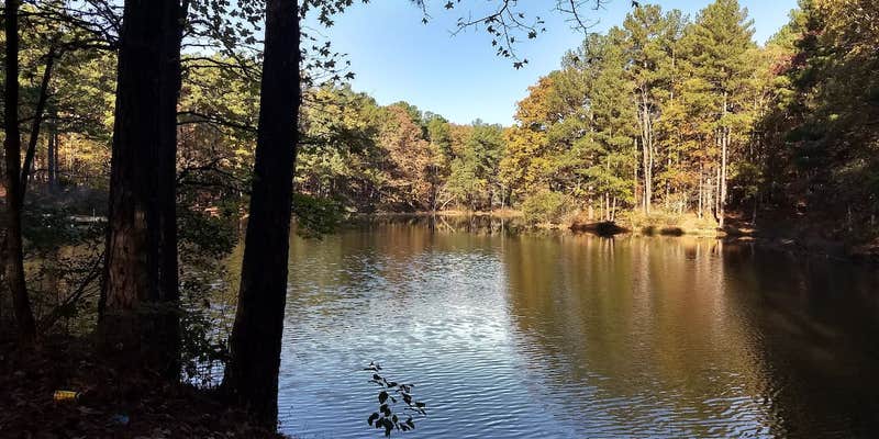 Camper submitted image from RTP Lakefront Campsite - Campground